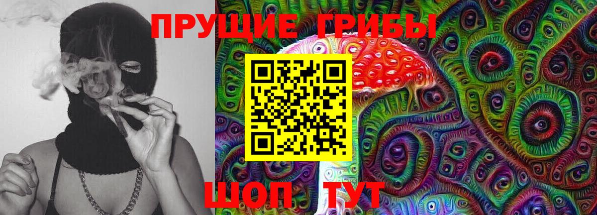 Мичуринск  Псилоцибиновые грибы Magic Shrooms  дарнет шоп  Вход с VPN 