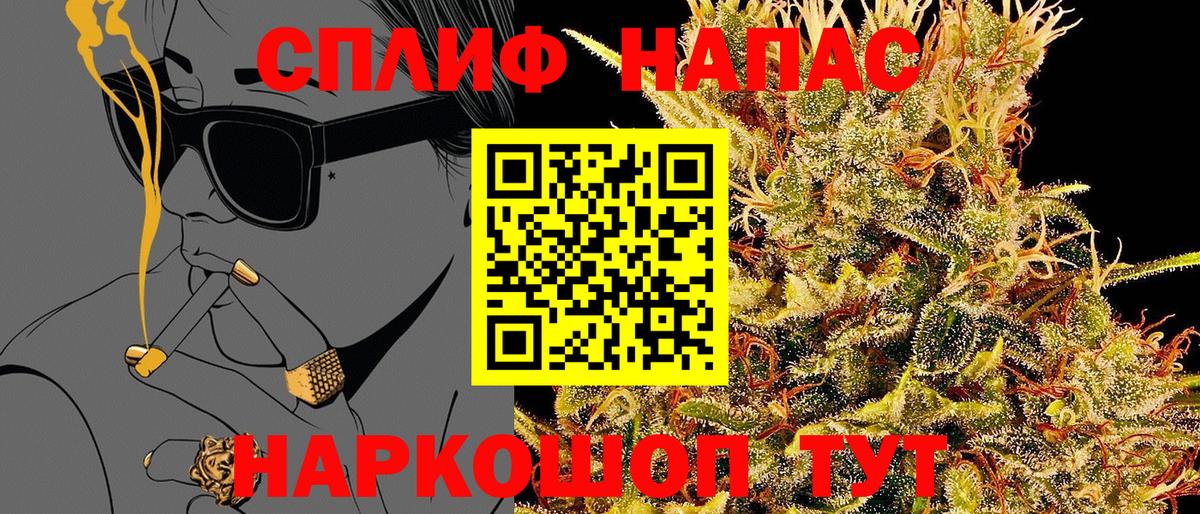 Конопля конопля Мичуринск